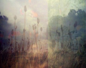 JeannetteMacDougallEndOfSummer