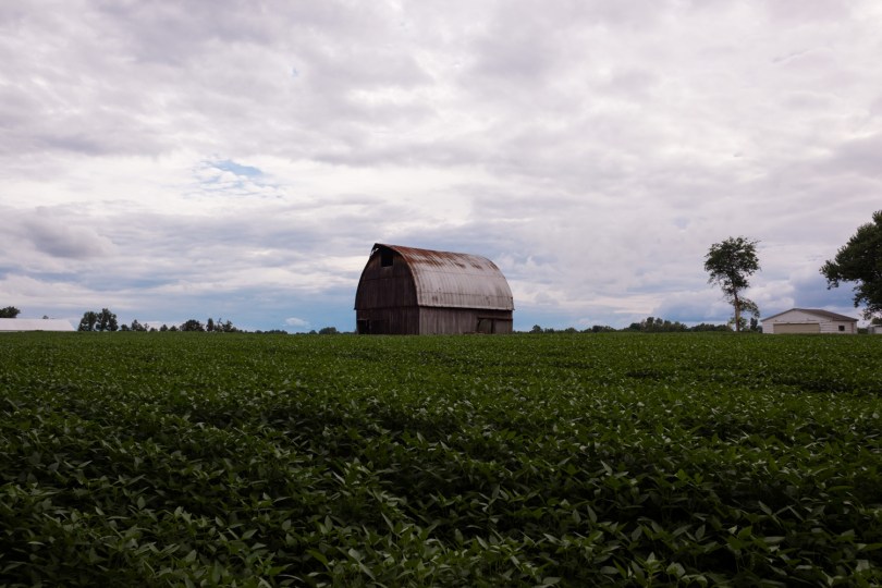 Artwork of Oliver Padilla