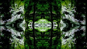 Artwork by Honor Woodard