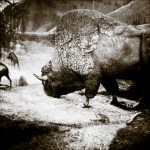 Artwork by Mitch Eckert