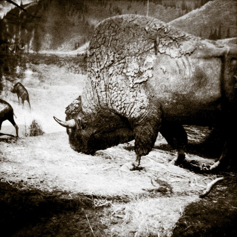 Artwork by Mitch Eckert